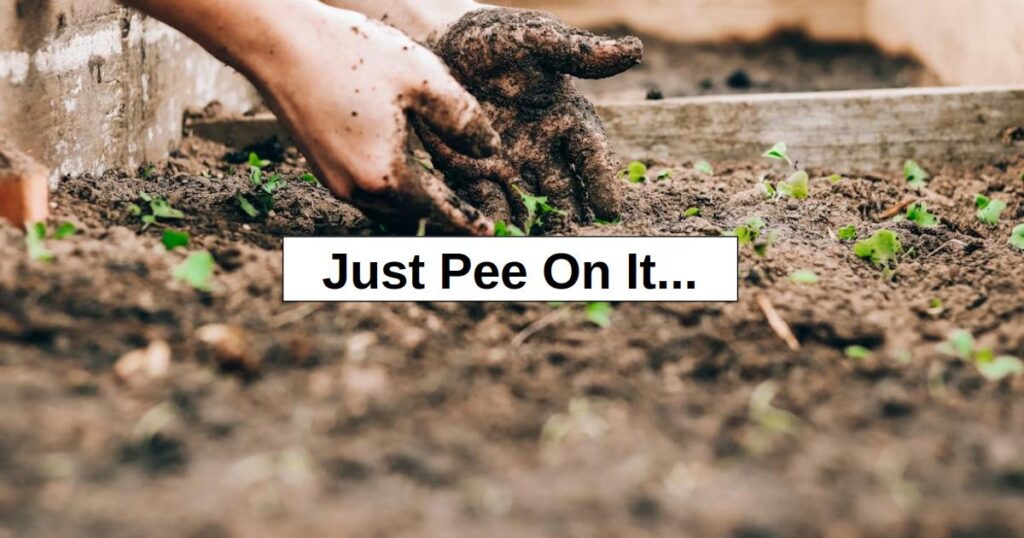 Just Pee On It… Just Pee On It…